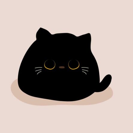 Vive Edmonton a tu manera